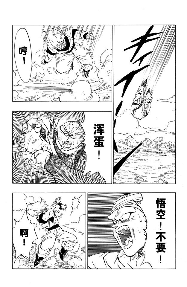 龙珠