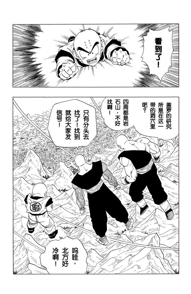 龙珠