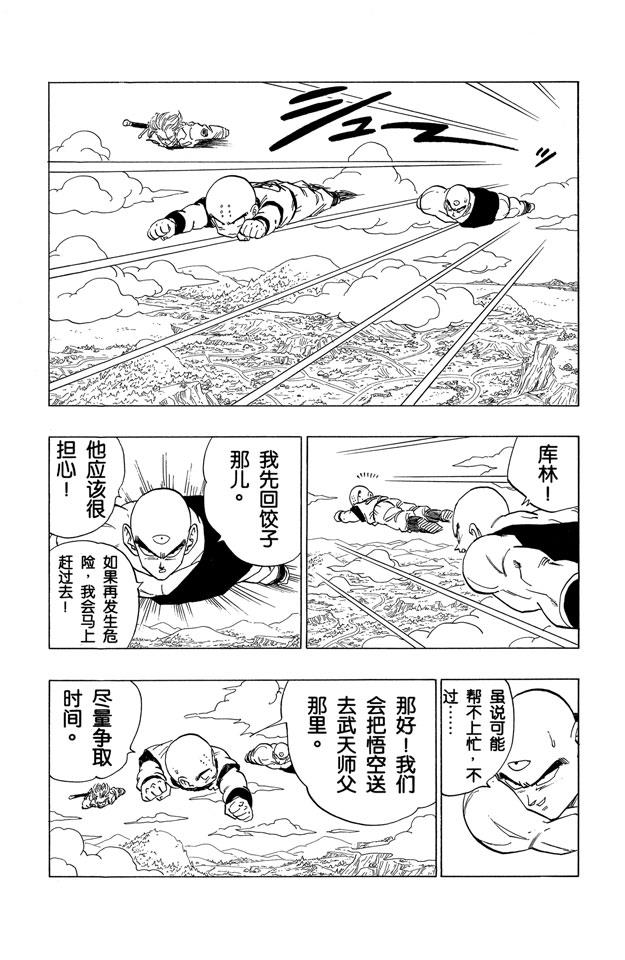 龙珠