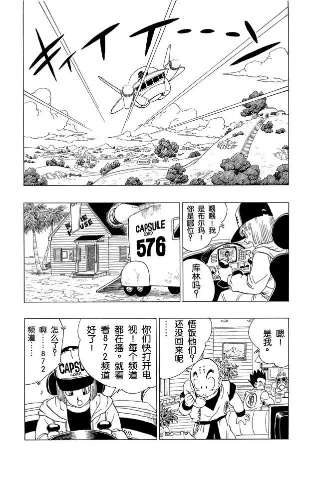 龙珠