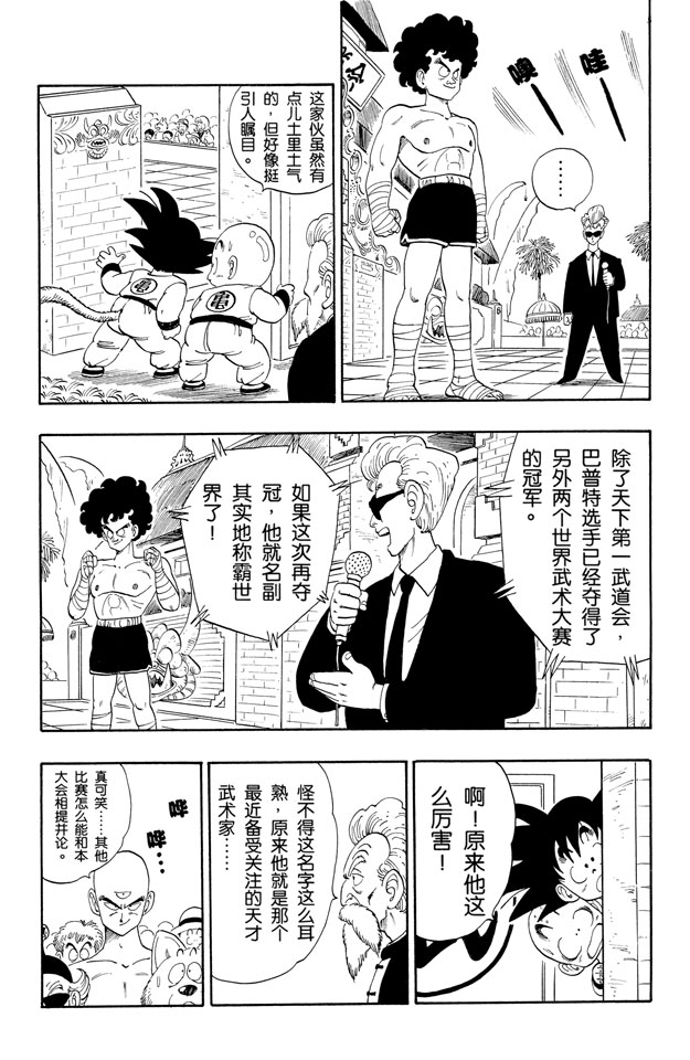龙珠