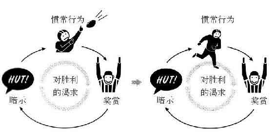 习惯的力量