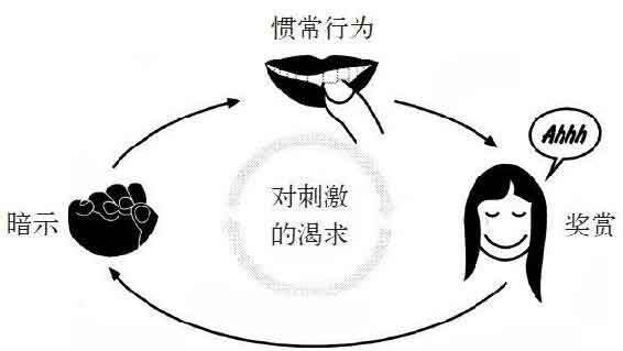 习惯的力量
