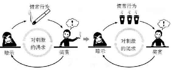 习惯的力量