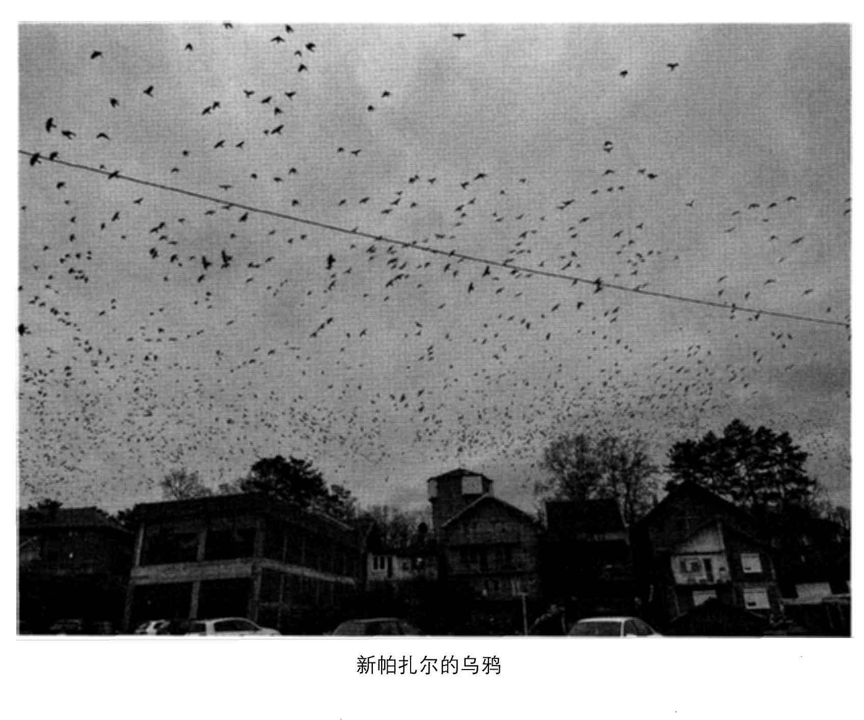 血与蜜之地