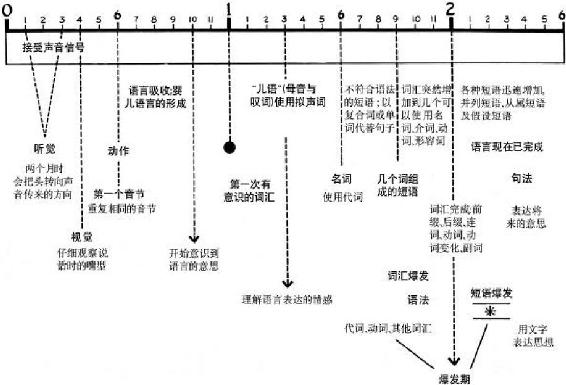 有吸收力的心灵