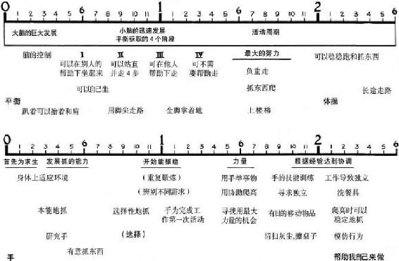有吸收力的心灵